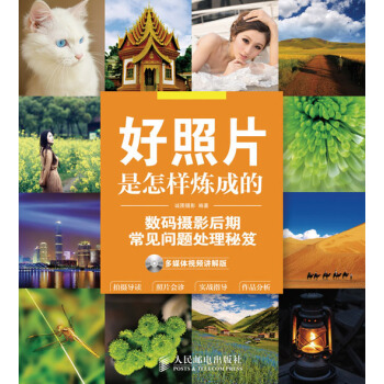 好照片是怎样炼成的：数码摄影后期常见问题处理秘笈（多媒体视频讲解版） pdf epub mobi 下载