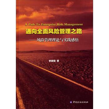 通嚮全麵風險管理之路：風險管理理論與實踐感悟 pdf epub mobi 下载