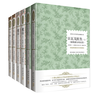 诺贝尔文学奖作品典藏书系·小说系列第1辑（套装共6册） pdf epub mobi 下载