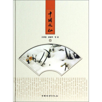中國水仙