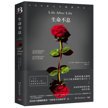 生命不息 [Life After Life] pdf epub mobi 下载