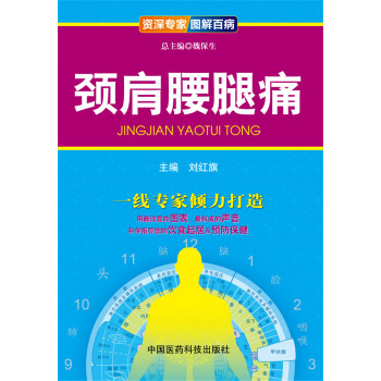 资深专家·图解百病：颈肩腰腿痛 pdf epub mobi 下载