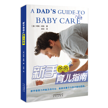新手爸爸育儿指南 pdf epub mobi 下载