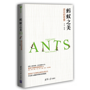 蚂蚁之美：进化的奇景 pdf epub mobi 下载