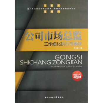 公司市场总监工作细化执行与模块 pdf epub mobi 电子书 下载