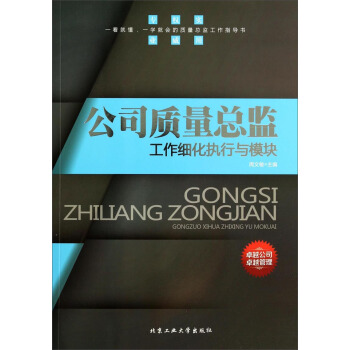 公司质量总监工作细化执行与模块 pdf epub mobi 下载