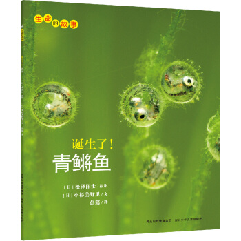 生命的故事：誕生瞭！青鱂魚 [3-10歲] pdf epub mobi 下载