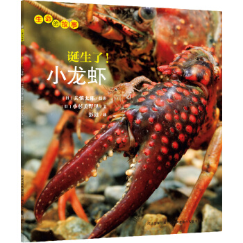 生命的故事：诞生了！小龙虾 [3-10岁] pdf epub mobi 下载