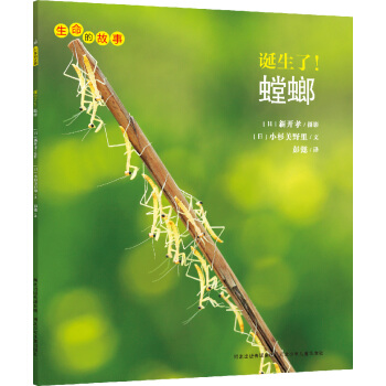 生命的故事：诞生了！螳螂 [3-10岁] pdf epub mobi 下载