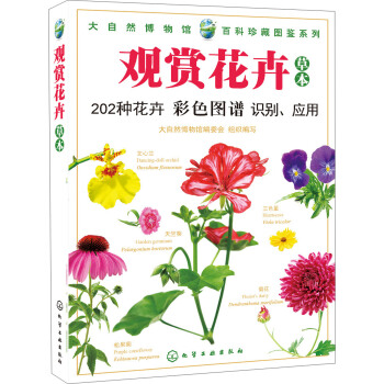 观赏花卉(草本)