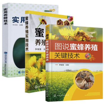 正版現貨 實用養蜂技術3冊 圖說蜜蜂養殖關鍵技術 中蜂意蜂養殖書籍大全 蜜蜂養殖技術書籍 pdf epub mobi 電子書 下載