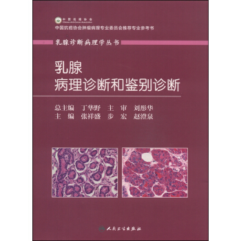 乳腺诊断病理学丛书：乳腺病理诊断和鉴别诊断 pdf epub mobi 下载