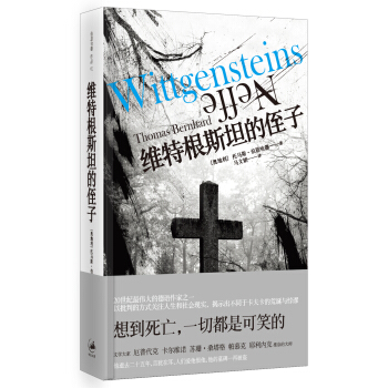 维特根斯坦的侄子 pdf epub mobi 下载