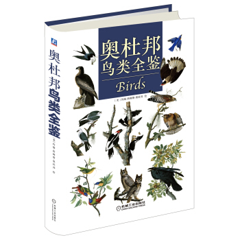 奥杜邦鸟类全鉴 pdf epub mobi 下载