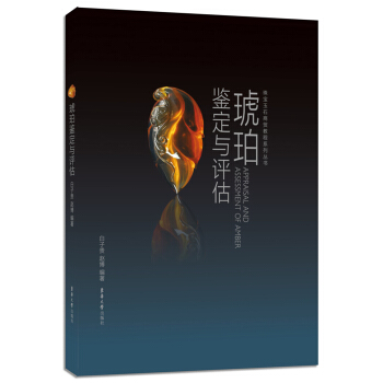琥珀鉴定与评估 pdf epub mobi 电子书 下载