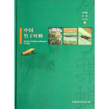 中國竹子葉蟬 [Bamboo-feeding Leafhoppers in China] pdf epub mobi 下载