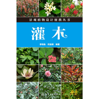 灌木 pdf epub mobi 下载