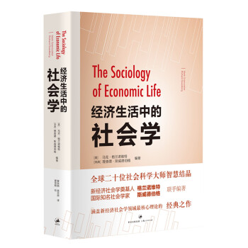 经济生活中的社会学 pdf epub mobi 下载