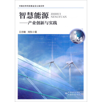 智慧能源:产业创新与实践