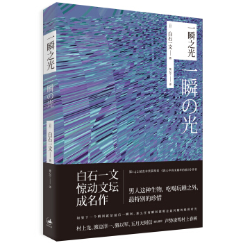一瞬之光 pdf epub mobi 下载