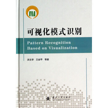 可视化模式识别