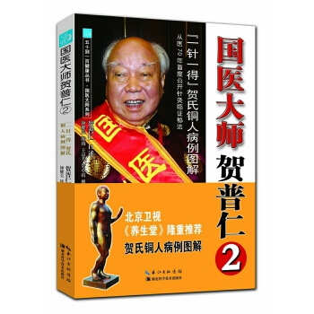 国医大师贺普仁2：“一针一得”贺氏铜人病例图解 pdf epub mobi 下载