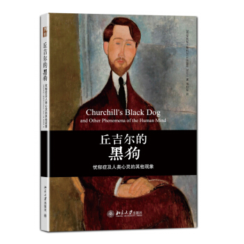 沙发图书馆·丘吉尔的黑狗：忧郁症及人类心灵的其他现象 pdf epub mobi 下载