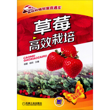 高效种植致富直通车：草莓高效栽培 pdf epub mobi 下载