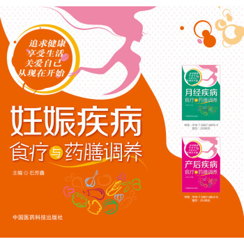 妊娠疾病食疗与药膳调养 pdf epub mobi 下载