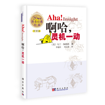 20世纪科普经典特藏：啊哈，灵机一动（中译本） [Aha!Insight] pdf epub mobi 下载