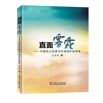 直面雾霾:中国电力发展与环境保护新思考