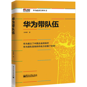 华为带队伍 pdf epub mobi 下载