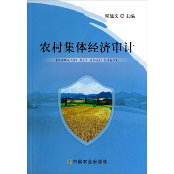 農村集體經濟審計 pdf epub mobi 下载