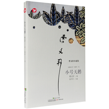 曹文轩新作·小号天鹅 [11-14岁] pdf epub mobi 电子书 下载