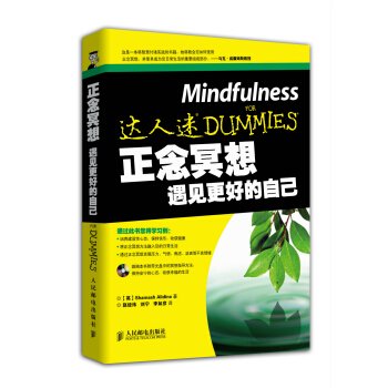 正念冥想：遇见更好的自己 pdf epub mobi 下载
