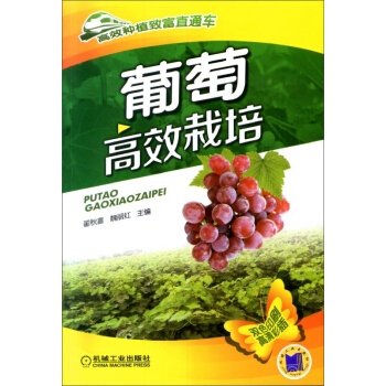 高效種植緻富直通車·葡萄高效栽培 pdf epub mobi 下载