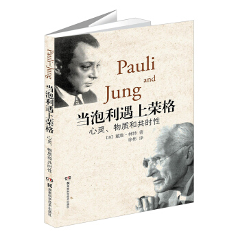 当泡利遇上荣格：心灵、物质和共时性 pdf epub mobi 电子书 下载