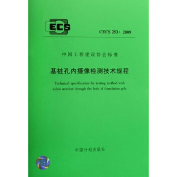 基桩孔内摄像检测技术规程 CECS253:2009 pdf epub mobi 下载