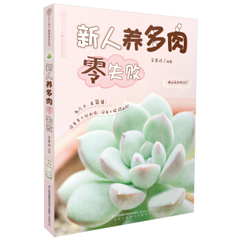 新人养多肉零失败（汉竹） pdf epub mobi 下载