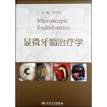 显微牙髓治疗学 pdf epub mobi 下载
