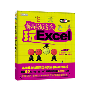 你早该这么玩Excel（wifi版） pdf epub mobi 下载