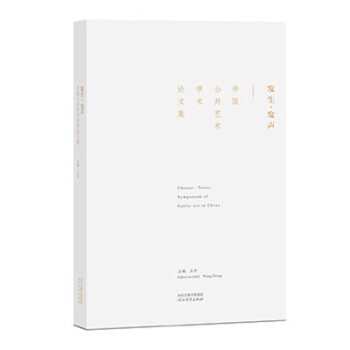 发生 发声 中国公共艺术学术论文集 王中著 河北教育出版社 pdf epub mobi 电子书 下载