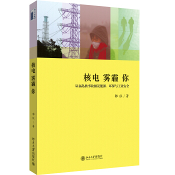 核电 雾霾 你：从福岛核事故细说能源、环保与工业安全 pdf epub mobi 下载