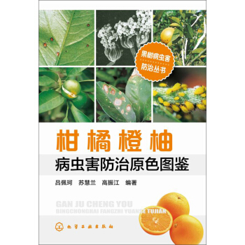 柑橘橙柚病蟲害防治原色圖鑒 pdf epub mobi 電子書 下載