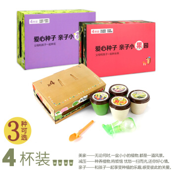 家庭园艺亲子种植9种植物可选儿童创意DIY杯子栽培蔬果迷你植物小盆栽办公桌饰品含种植工具 2杯装（跳舞草+含羞草） pdf epub mobi 下载