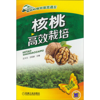 核桃高效栽培 pdf epub mobi 下载