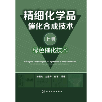 精细化学品催化合成技术（上册，绿色催化技术） pdf epub mobi 下载