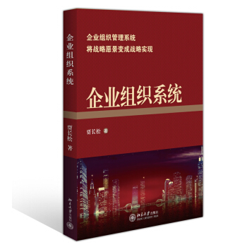 企业组织系统 pdf epub mobi 电子书 下载