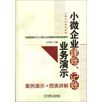 小微企业建账、记账业务演示 pdf epub mobi 下载