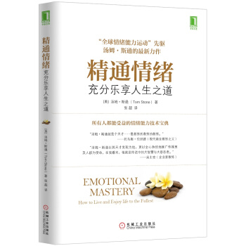 精通情绪：充分乐享人生之道 [Emotional Mastery: How to Live and Enjoy life to th] pdf epub mobi 电子书 下载